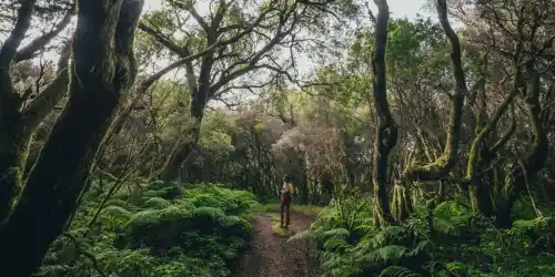 El Hierro en 48 horas: itinerario perfecto para un viaje corto a la isla