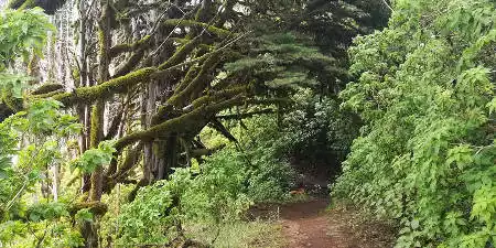 Paisaje Protegido de Ventejís